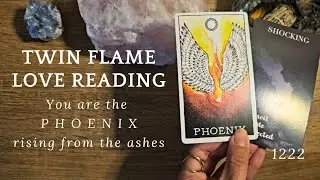 Twin Flame Love Reading // You are the PHOENIX rising from the ashes 🐦&zwj;🔥