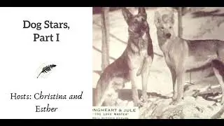 Ep 85 Dog Stars, Part I