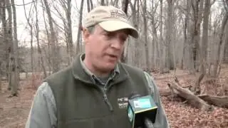 Woodcutters and Conservationists at Loggerheads Over Forest Bill