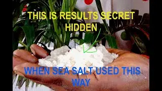 NEW SECRET HIDDEN USE OF SEA SALT WITH RESULTS NO ONE HAS TOLD YOU