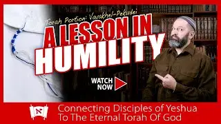 Zeal, Tzitzit, Knowledge, and Humility | #Messianic Commentary on Torah Portion Vayakhel-Pekudei