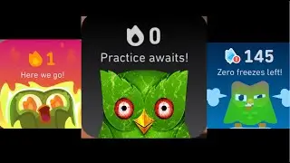 DUOLINGO WIDGETS but they get progressively WORSE
