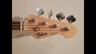Tokai Jazz Sound Bass setup
