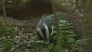 Hardlopen, natuur laat je leven - Natuurmonumenten