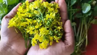 মধ্যবিত্ত হলো একটি অভিশাপের নাম, জন্ম থেকেই যাদের জীবন কাটে মানিয়ে নেওয়ার মাধ্যমে