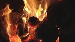 Life is a burning ember, only memories remain