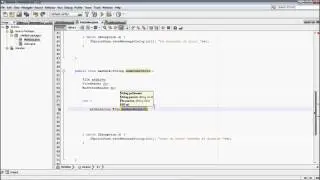 Leer de un archivo plano (.txt) en java