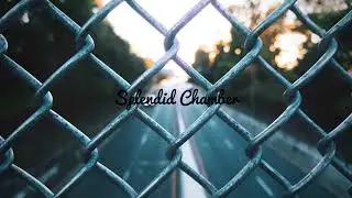 Charlie Burg - Busbeat