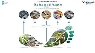 AP Environmental Science Tragedy of the Commons through Ecological Footprint