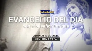 Meditación del Evangelio 18 de enero de 2026 – El Cordero que limpia y da vida | Catholic.net