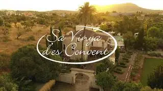Sa vinya des Convent