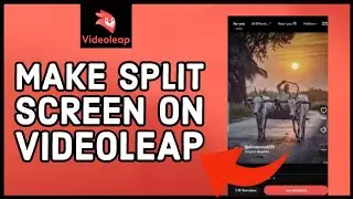 How to Make Split Screen on Videoleap 2023?