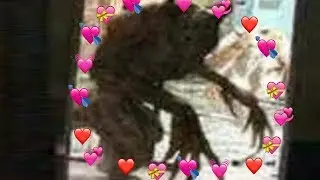 Apyr is so precious❤️ (друг Droog)