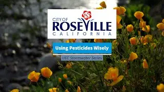 Using Pesticides Wisely - City of Roseville, Ca