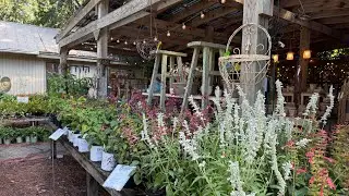 Garden nursery visit at Hilton Head Island!