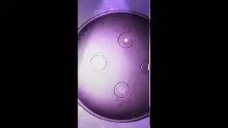 Clout play
