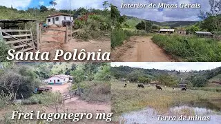 TERRA DE MINAS GERAIS / CONHEÇA - SANTA POLÔNIA , MUNICÍPIO DE FREI LAGONEGRO MG