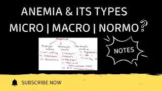 Anemia & Its Types Explained Clearly | Classification, Causes | HAP-1 | B.Pharmacy