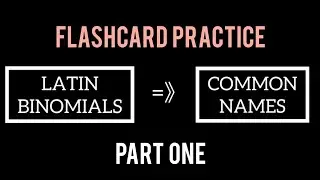 LATIN BINOMIALS TO COMMON NAMES flashcards | PART ONE (101, MOD 1-6)
