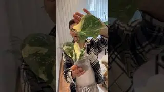 Я ОБРЕЛ СМЫСЛ ЖИЗНИ 🥹🙏🌱 ЧЕГО И КАЖДОМУ ЖЕЛАЮ ВСЕМ СЕРДЦЕМ &hearts;️✨🌱