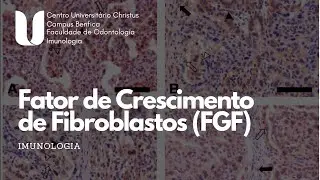 FATOR DE CRESCIMENTO DE FIBROBLASTO (FGF) - APRESENTA&Ccedil;&Atilde;O DE IMUNOLOGIA