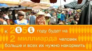 The Good Growth Plan компании Syngenta