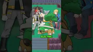 The BEST TEAM To Beat Sinnoh!