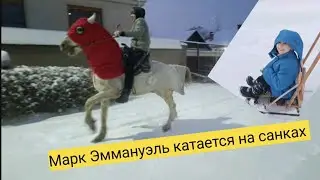 Марк Эммануэль катается на санках #маркэммануэль #топ #катания 