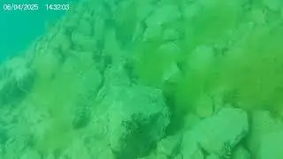 CAPENWRAY 1