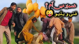 Mangoes in December 😂 | Fake Mango Deal Gone Wrong | Funny Video