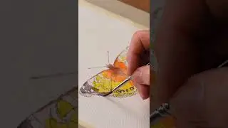 Easy Art Tutorial American Painted Lady Butterfly #shorts #watercolor #butterfly