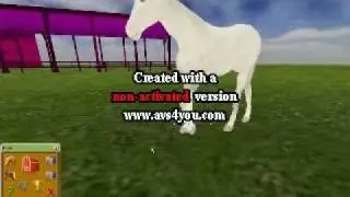 Virtual Horse Ranch 2