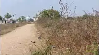village Abendha mandal Narayankhed district Sangareddy telangana 9515645494 per acre 16 lakhs