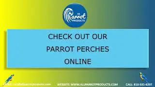 Parrot Perches & Bird Perches For All Types of Birds &ndash; All Parrot Products