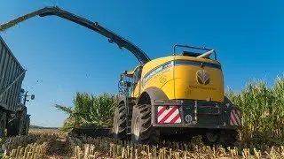 New Holland FR780 | Tractors New Holland T7.315 Heavy Duty , 2x T7.270 - Silage in Velke Nemcice