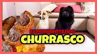 EXPERIMENTANDO COMIDA : CHURRASCO | AMORINHA CHOWCHOW
