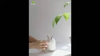 Cute Deer Rabbit Design Mini Humidifier Timed auto Shutdown Portable Mist Maker