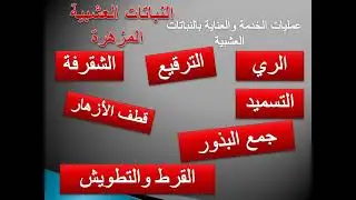 مقرر انتاج نباتات الزينة والطبية والعطرية المحاضرة الأولى