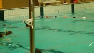stefan snorkel diploma