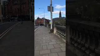 What Not To Do In Scotland 🏴󠁧󠁢󠁳󠁣󠁴󠁿 #Travel #Scotland #TravelTips #PlacesToVisit