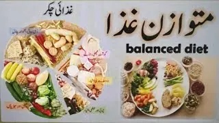 Balance diet#متوازن غذا#youtubevideo #trending urdu#quotes #healthy foods