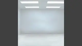 White Room No Echoes