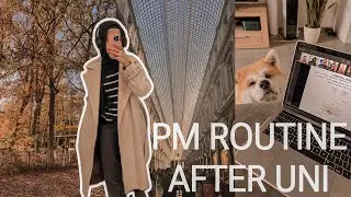 PM routine after university | International Pakistani female student in Belgium | VLOG