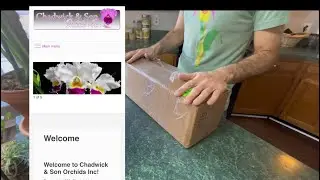 Unboxing a Historically Significant Species Orchid | Chadwick & Son | Bonus at the End