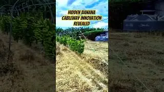Epic Cableway Innovation in Banana Harvesting - Tools and machine project