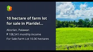 10 hectare of farm lot for sale in Plaridel aborlan Palawan