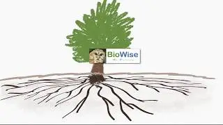 8 BioWise Roots