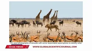 THE INFLUENCE OF SURROUNDED ANIMALS ONORIGIN OF FACIAL EXPRESSION ACTIONS BY M.N.M. FIRNAS