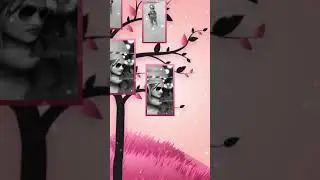 MABOB