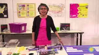 Animal Studies&ndash;Science Vocabulary